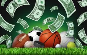Everything You Need to Know About Online Sports 13