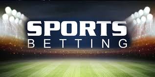 Vivi’s jackpots and promotions make every bet more exciting Vivi’s jackpots and promotions make every bet more exciting